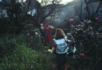 [PICTURE - Iver, Billy, Justin in the backyard at Montcalm St.]