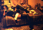 [PICTURE - Reggie on couch]