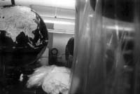 lectdemworldplastic